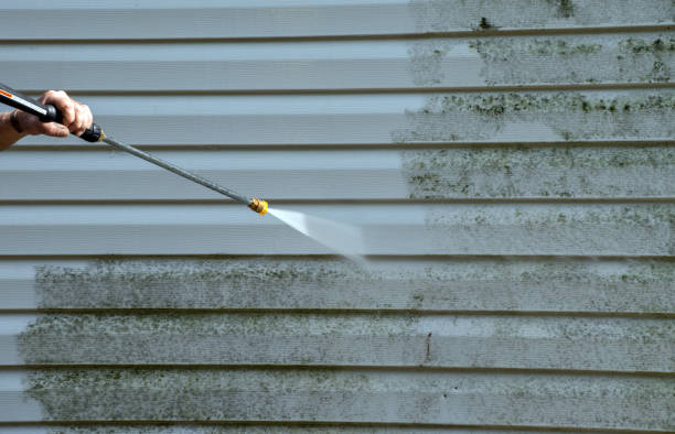 Professional Pressure Washing in Avonmore, PA